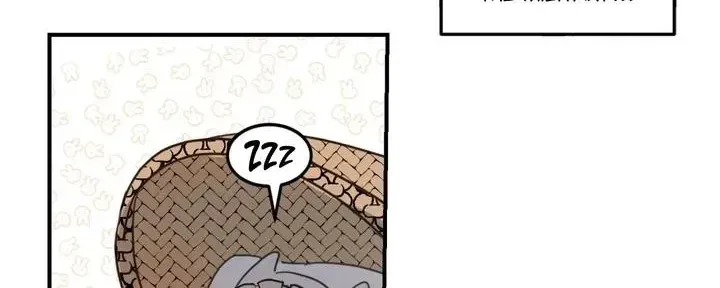 Chapter 1.1, page 42