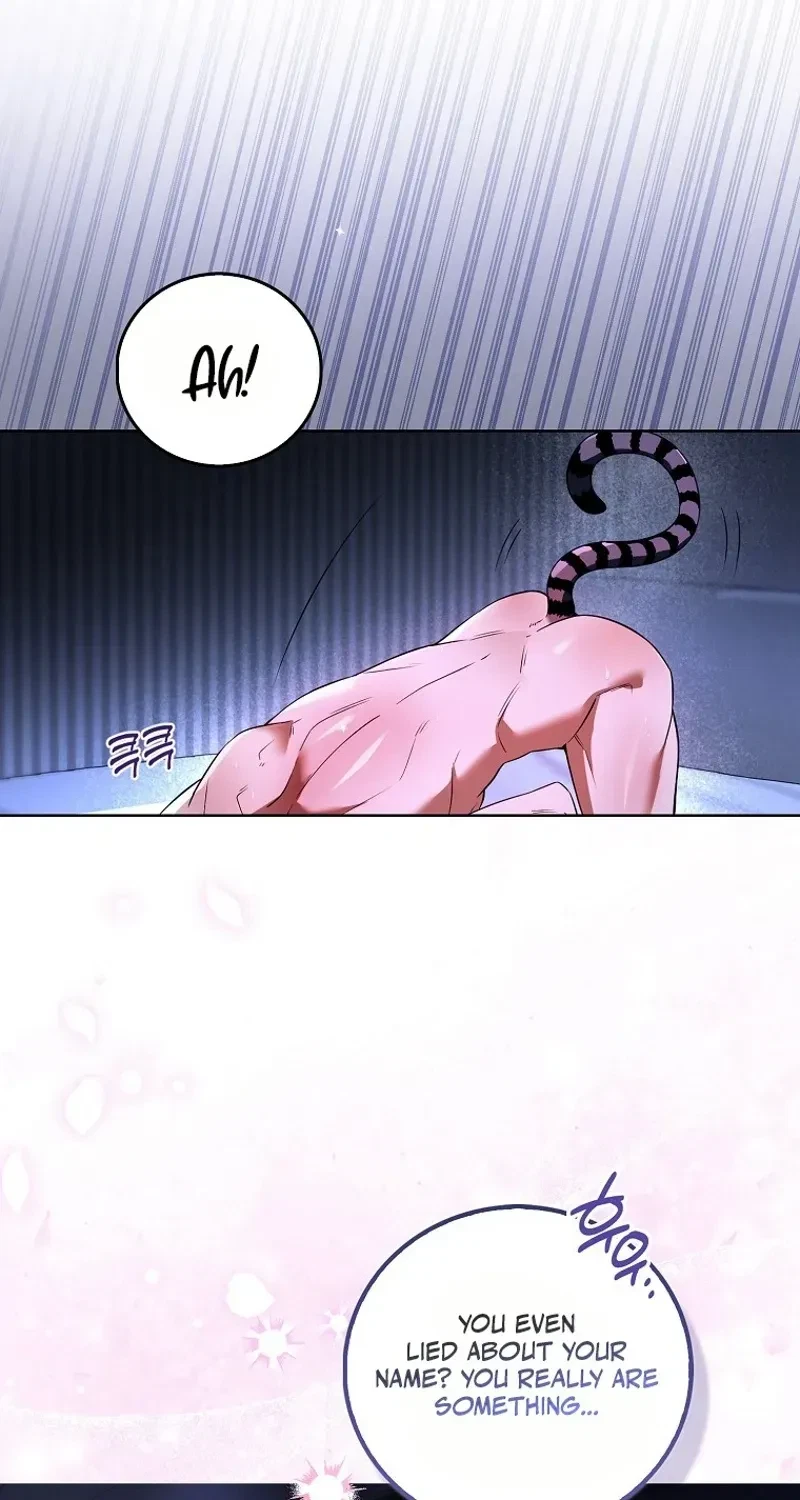 Chapter 1, page 29