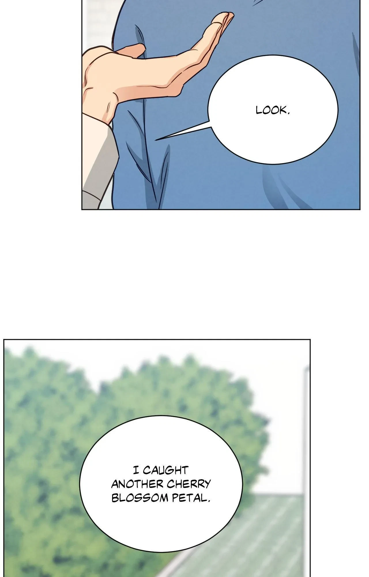 Chapter 115, page 62