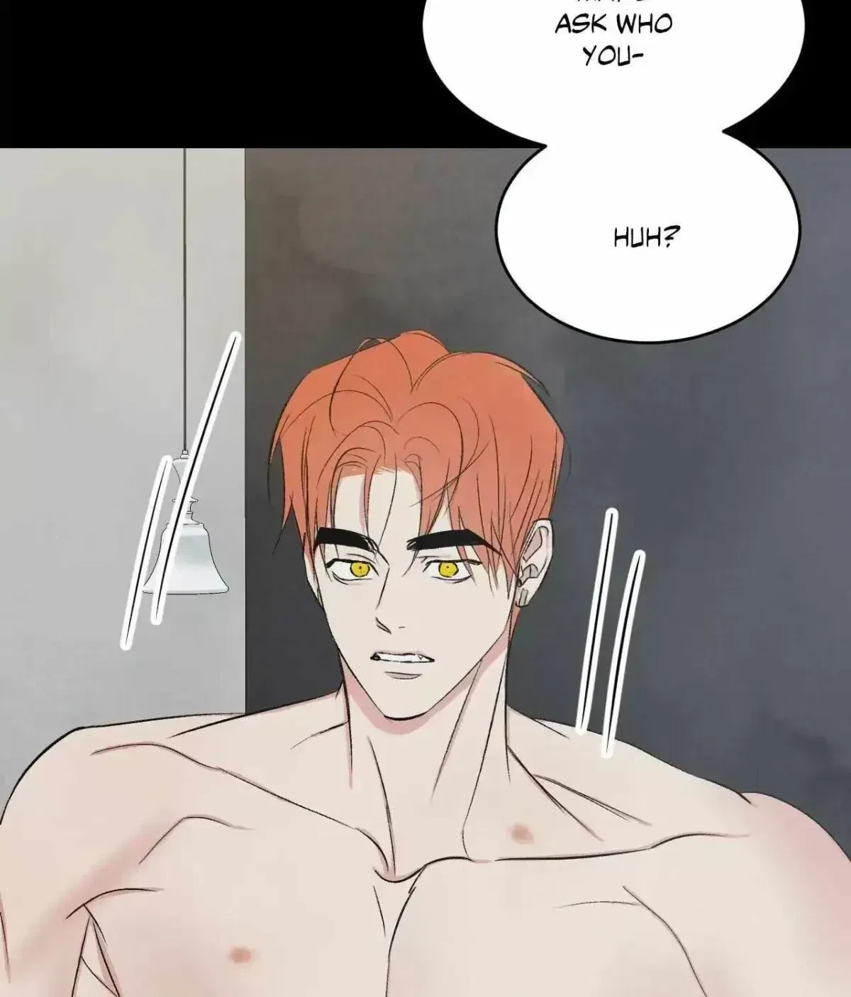 Chapter 4.6, page 101