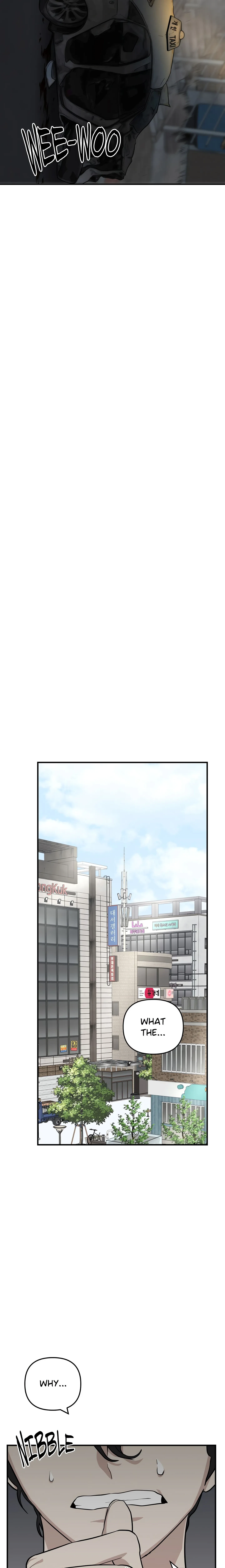 Chapter 1, page 20