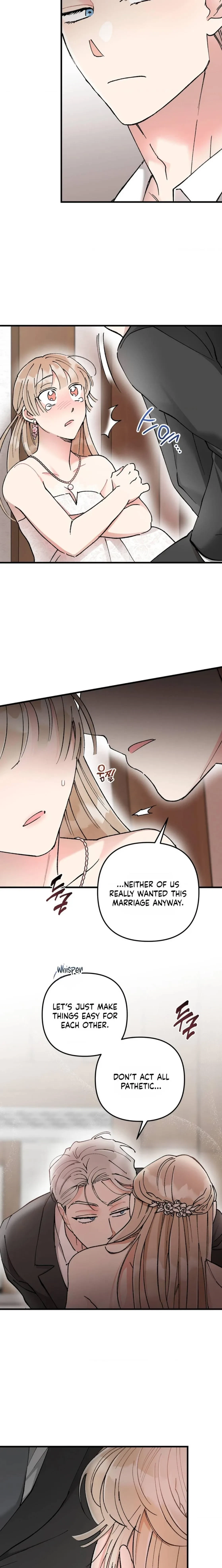 Chapter 1, page 24