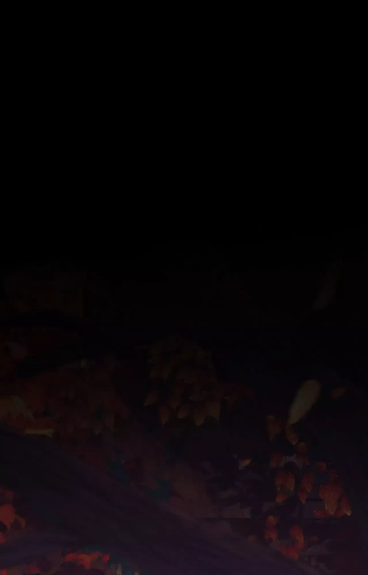 Chapter 67, page 80