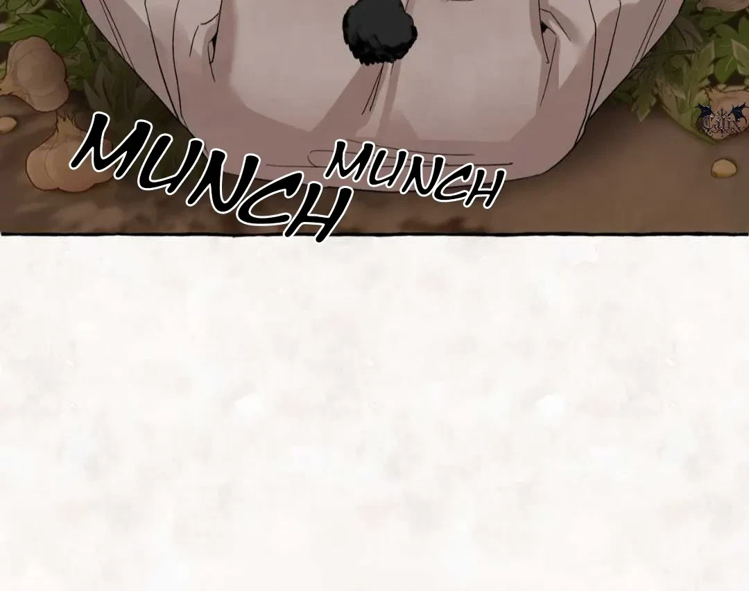Chapter 1, page 14