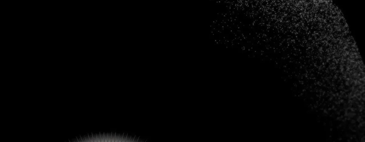 Chapter 52, page 224