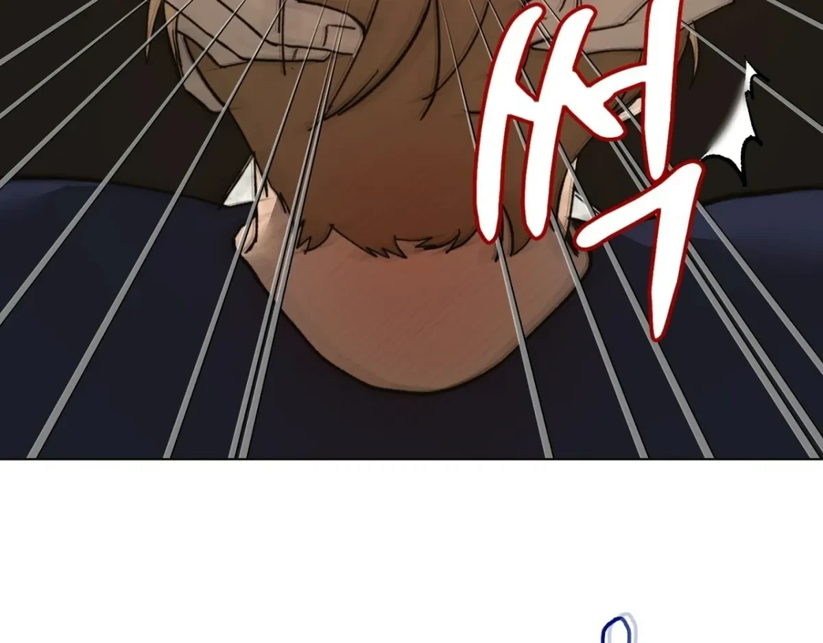 Chapter 4, page 101