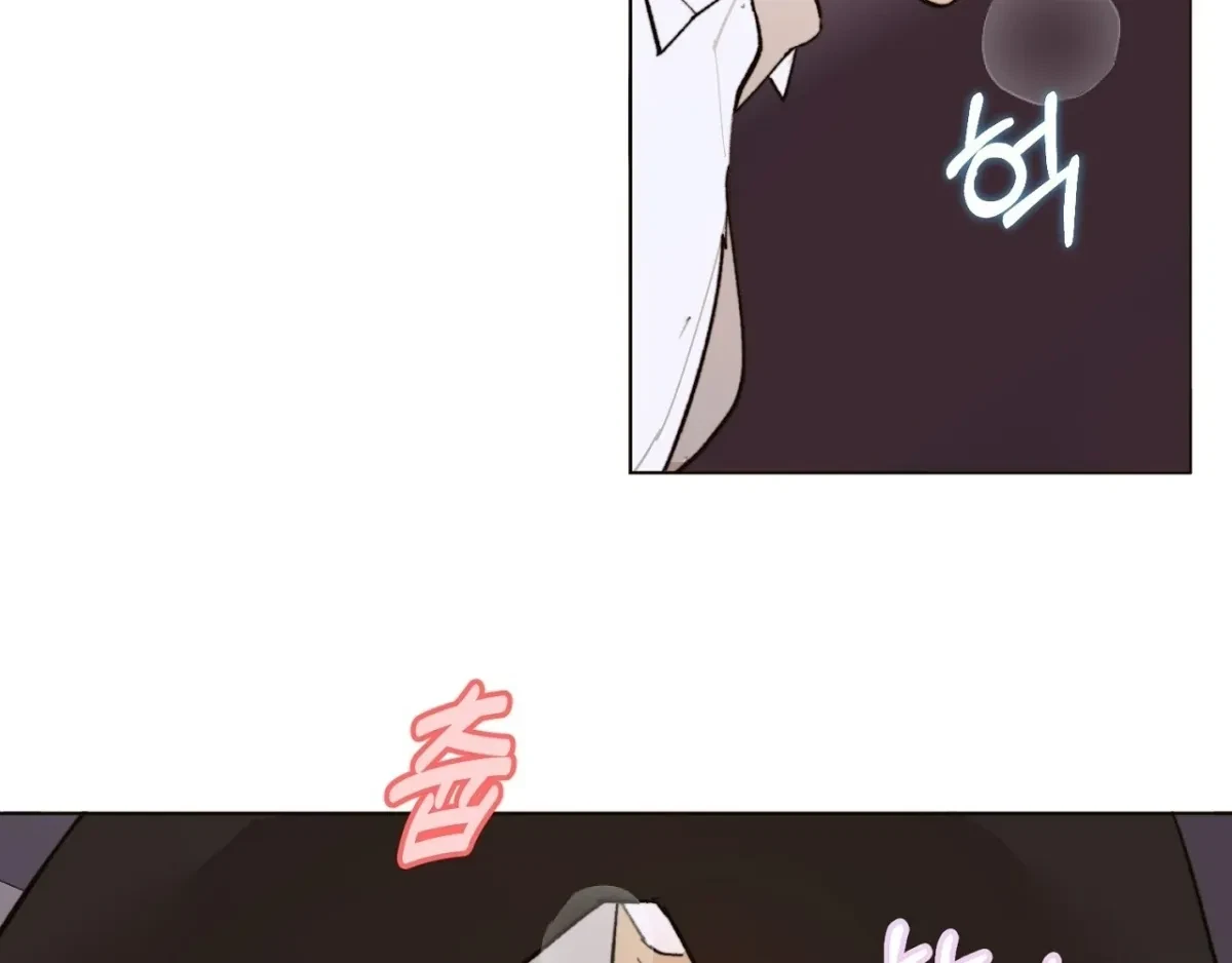 Chapter 4, page 96