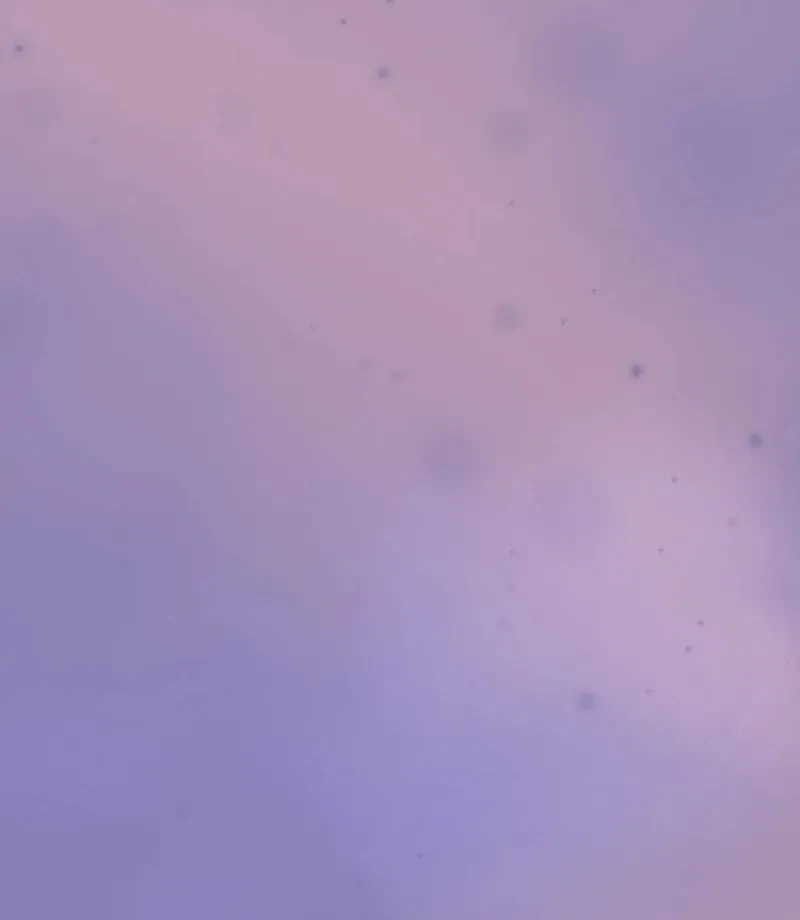 Chapter 2, page 89