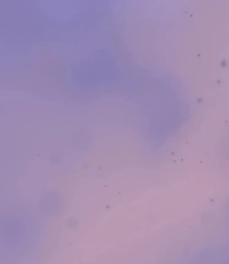 Chapter 2, page 90