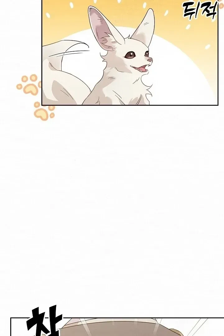 Chapter 1.1, page 51