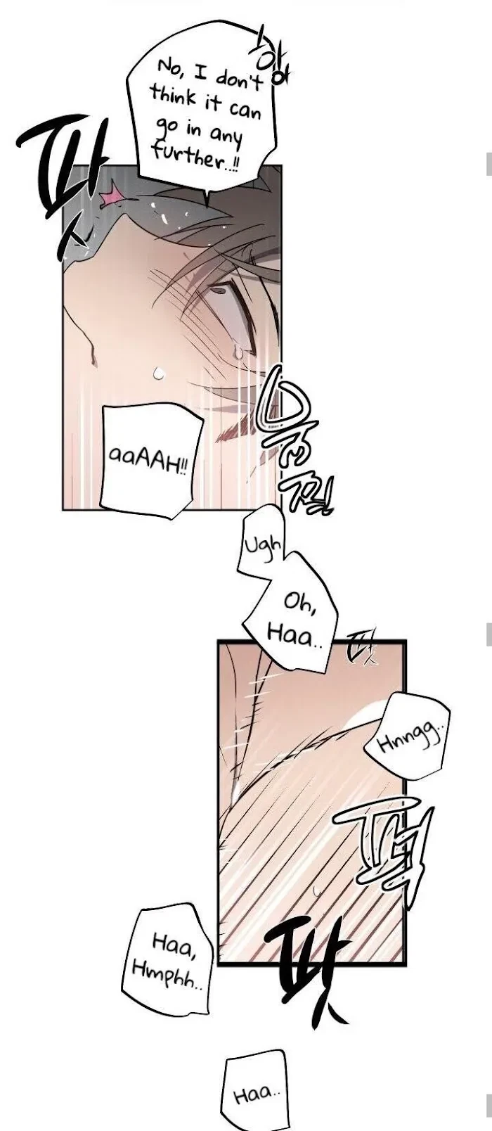 Chapter 2, page 42