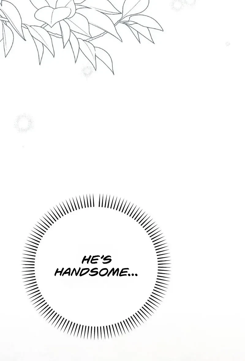 Chapter 2, page 20