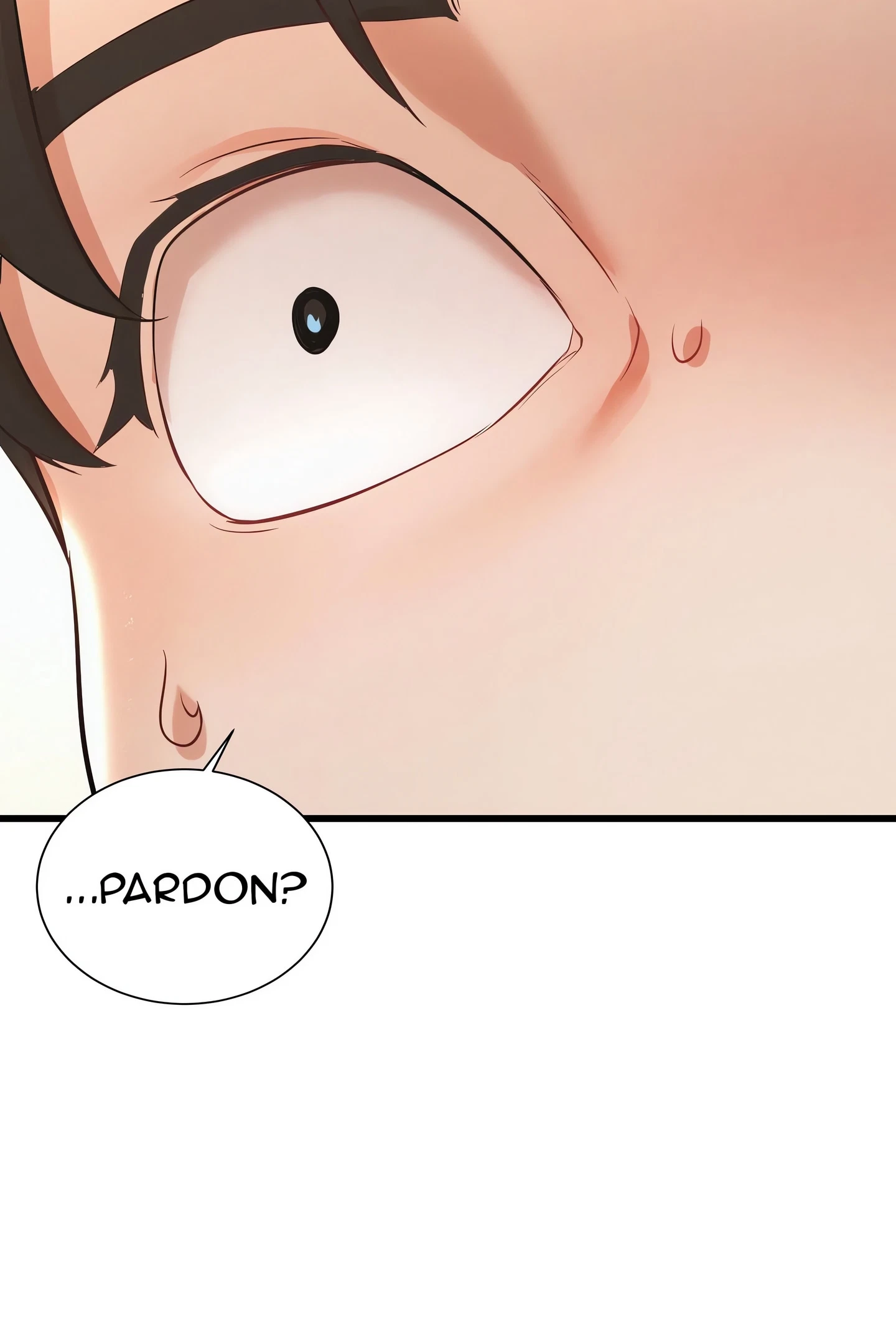 Chapter 0, page 23