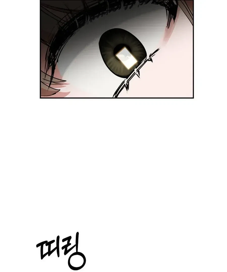 Chapter 1.1, page 52