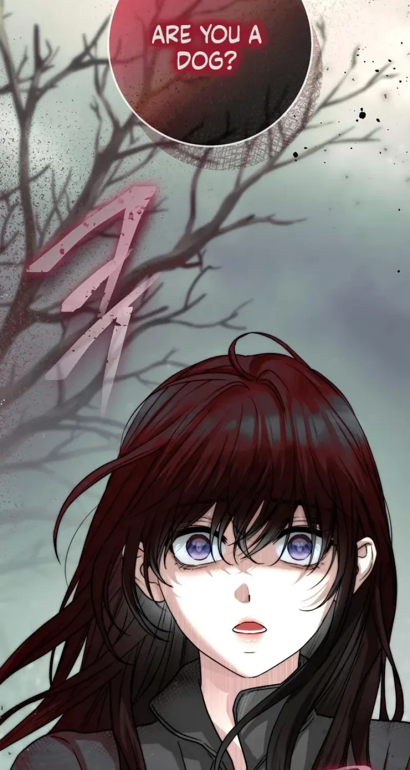 Chapter 1, page 13