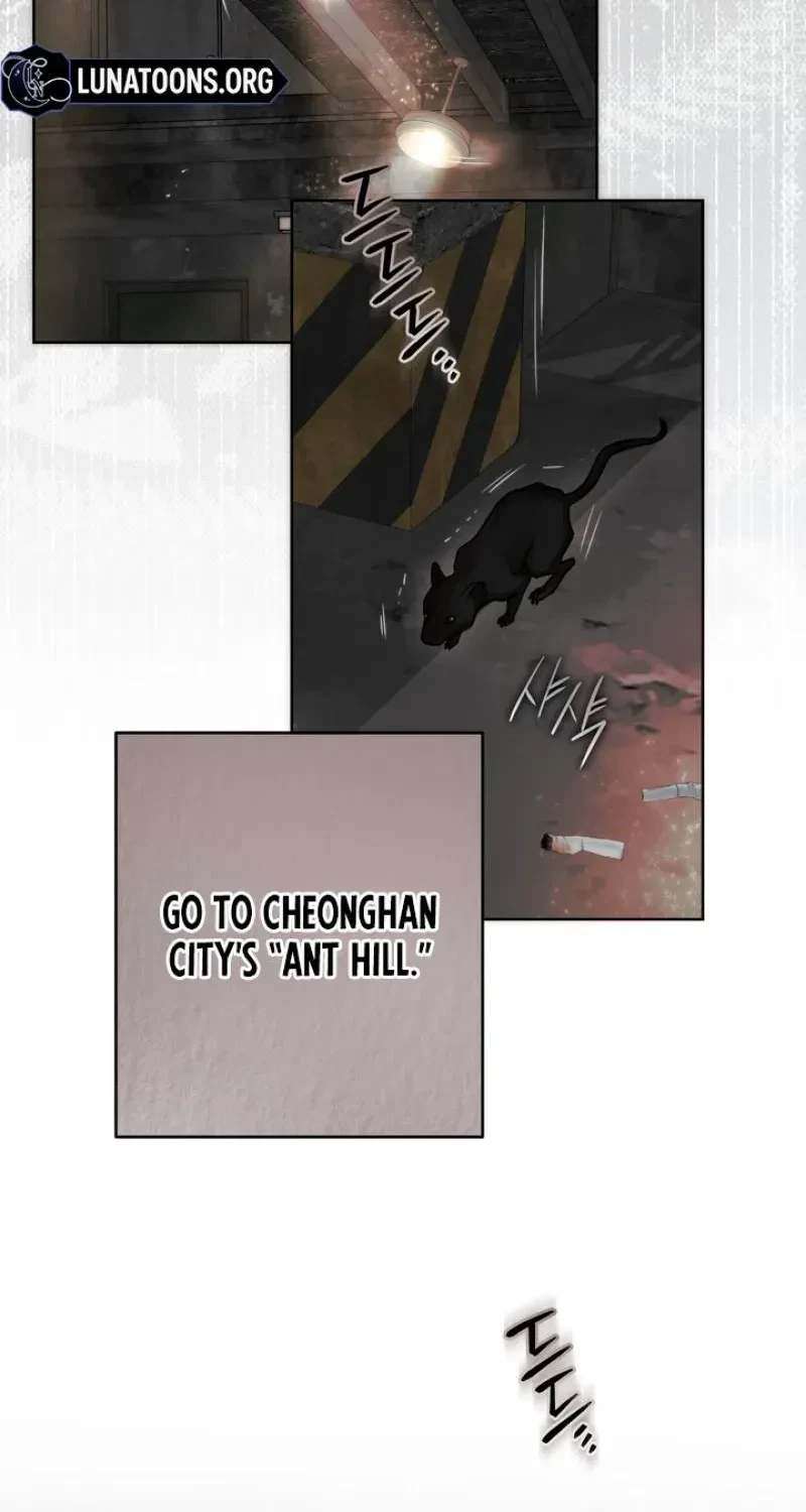 Chapter 1, page 19