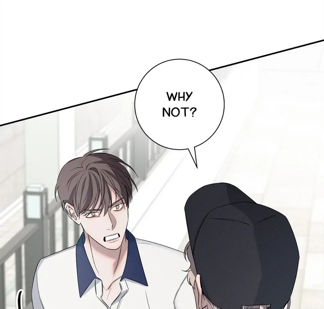 Chapter 8, page 101