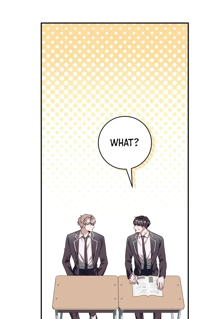 Chapter 2, page 13