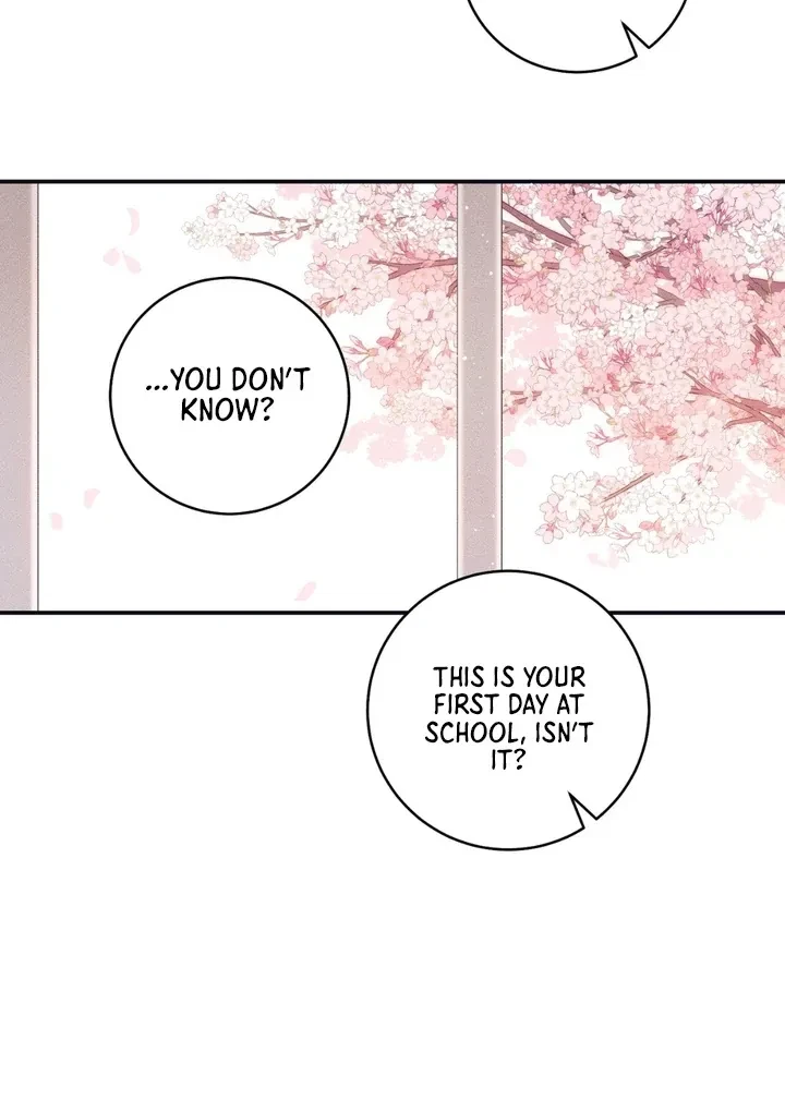 Chapter 2, page 16