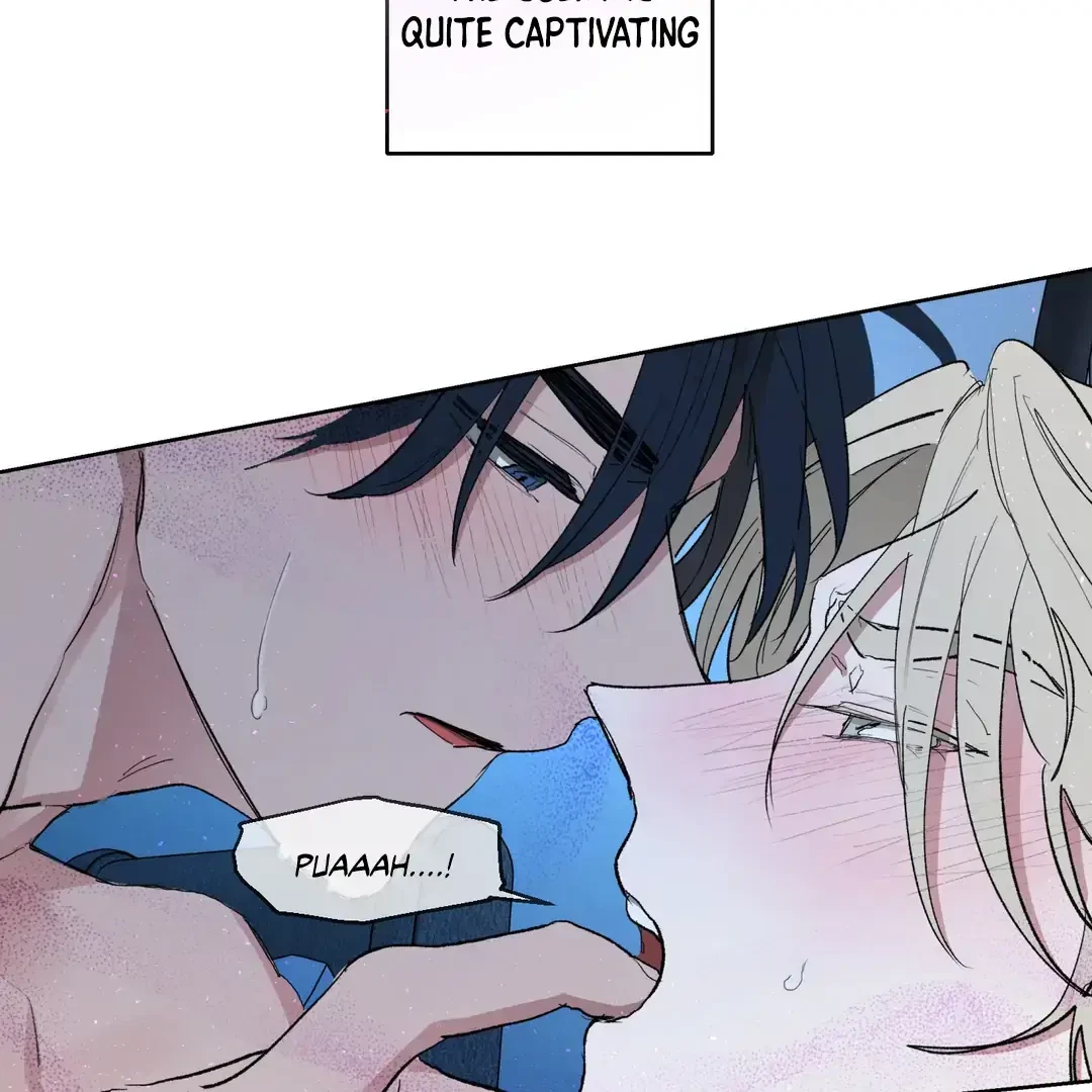 Chapter 2, page 17