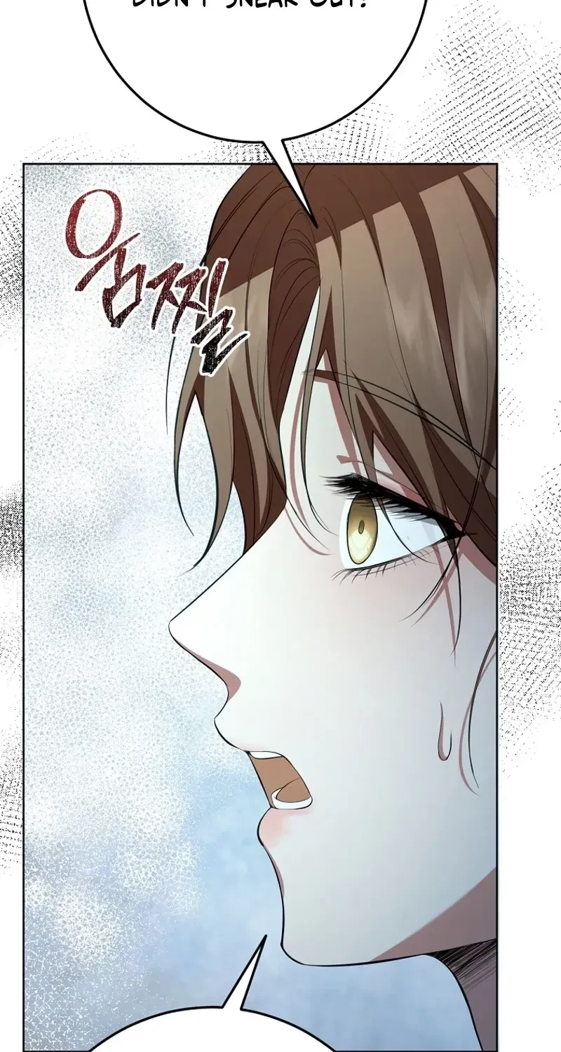 Chapter 2, page 106