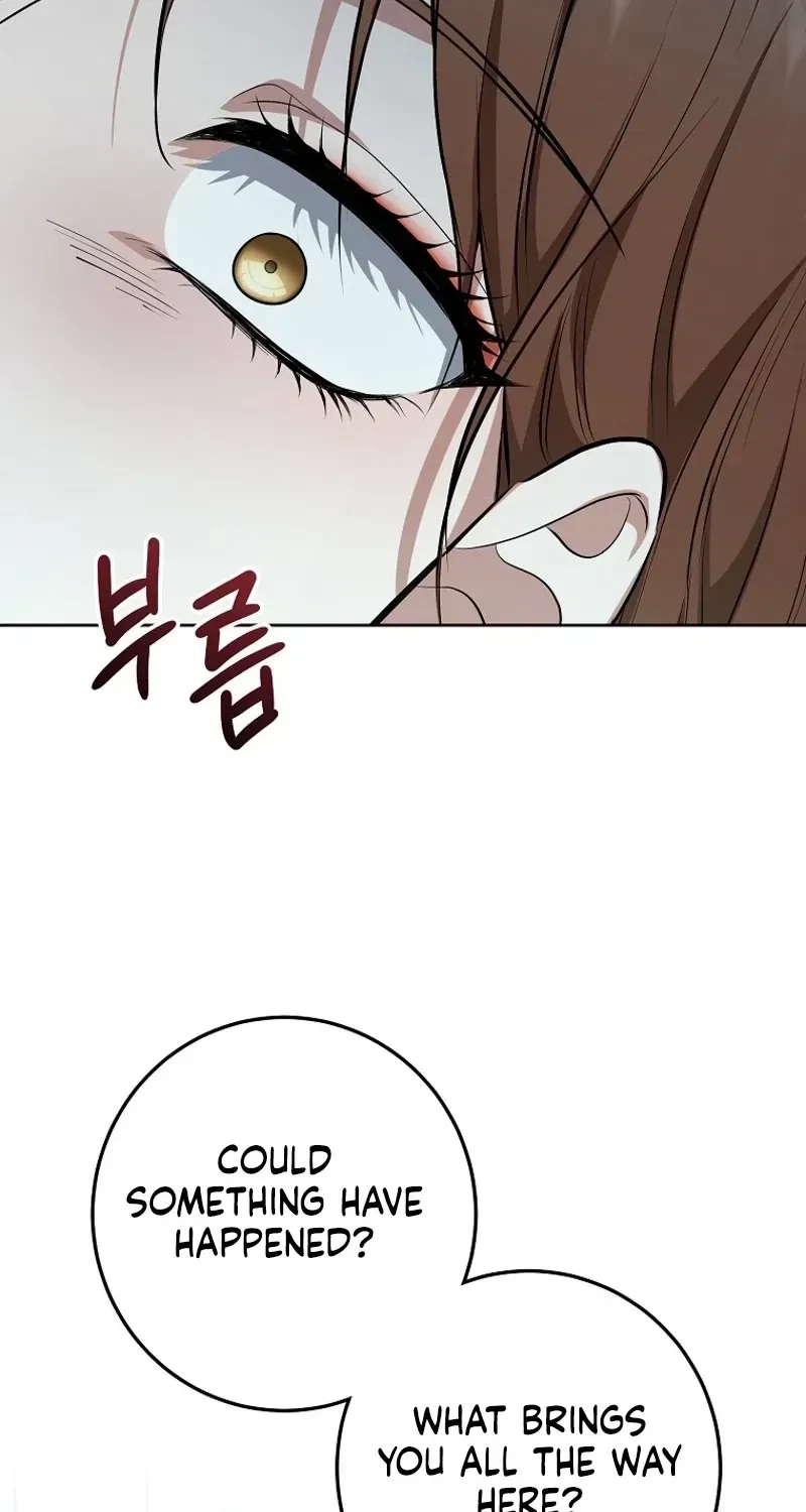 Chapter 2, page 52