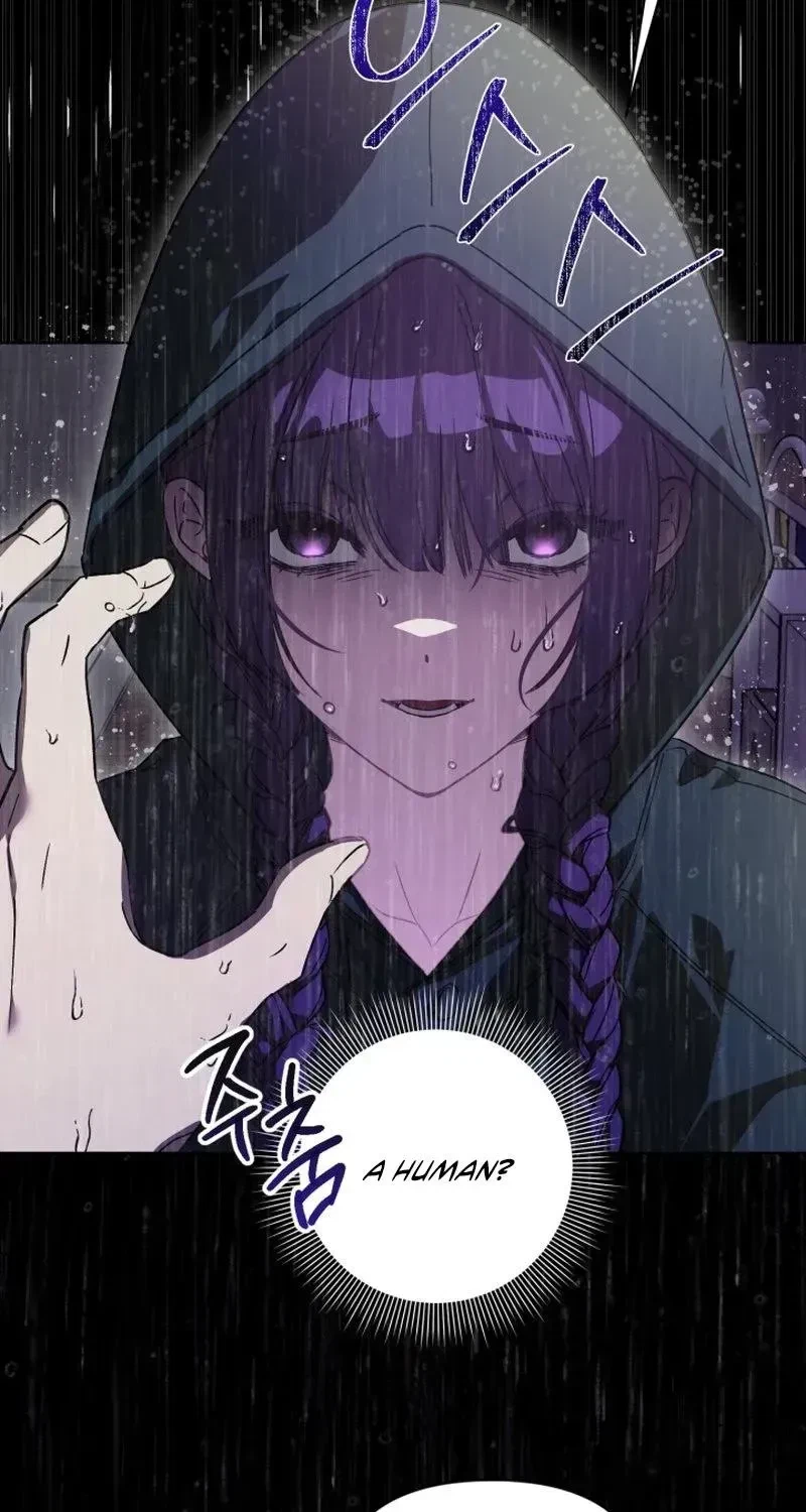 Chapter 1.1, page 46