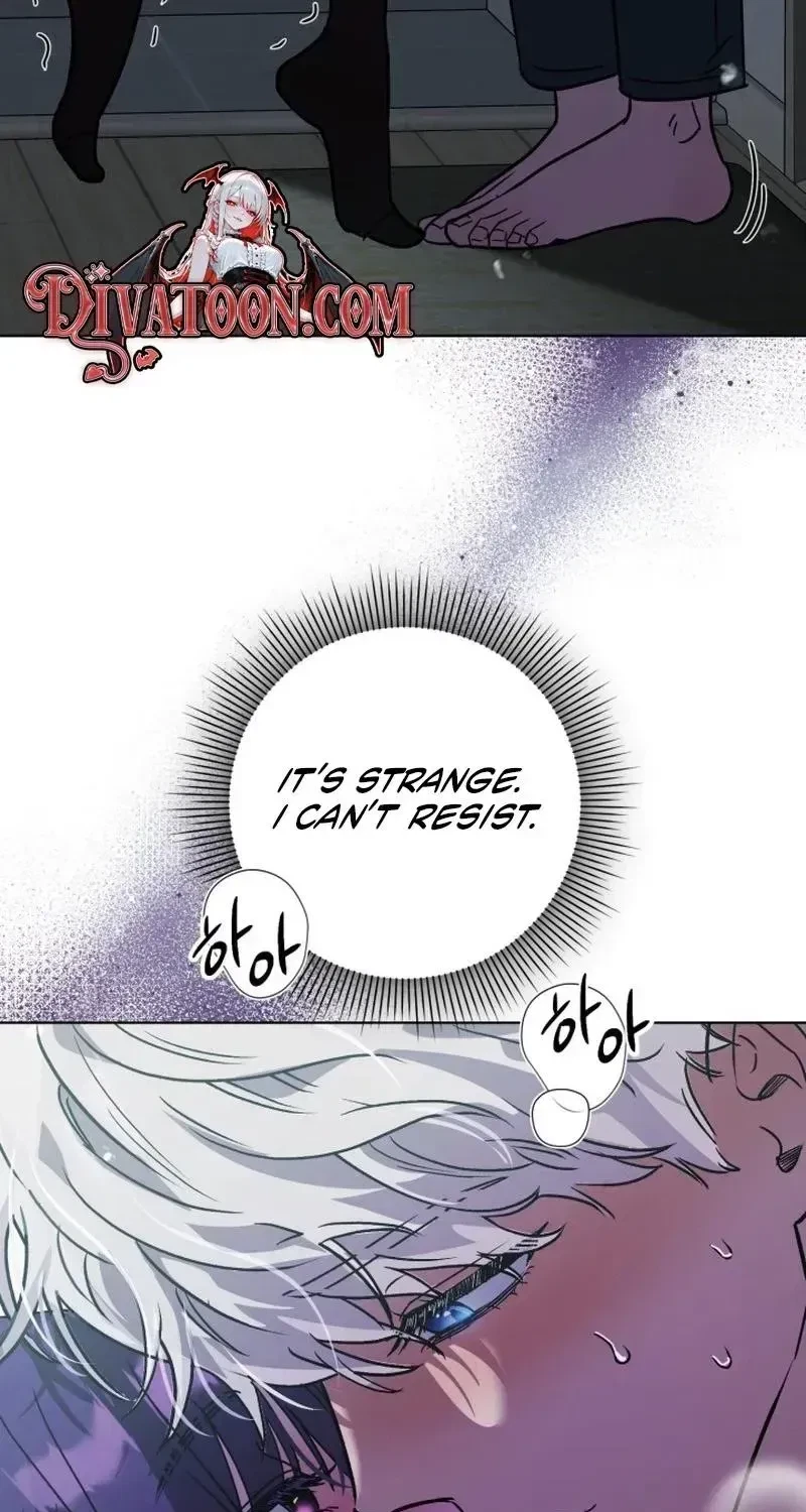 Chapter 1.1, page 98