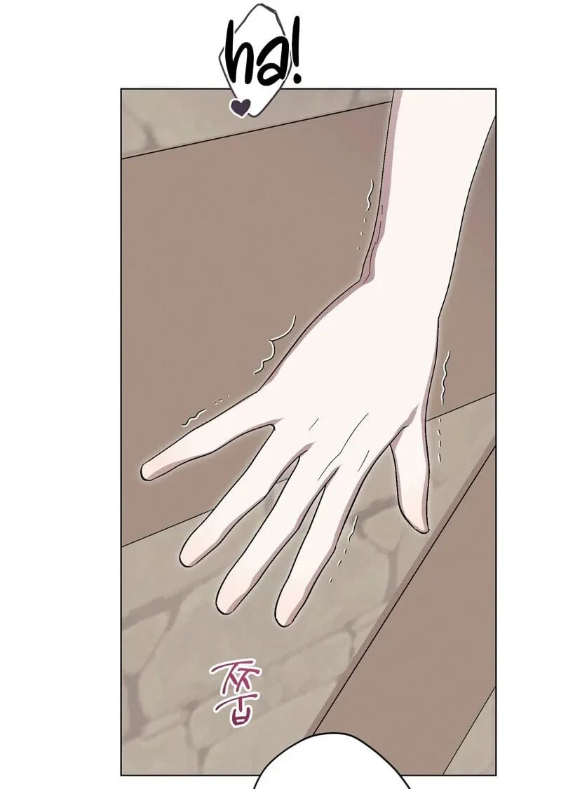 Chapter 58, page 13
