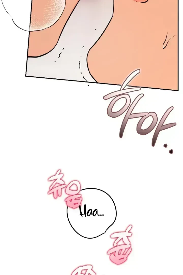 Chapter 2.6, page 104