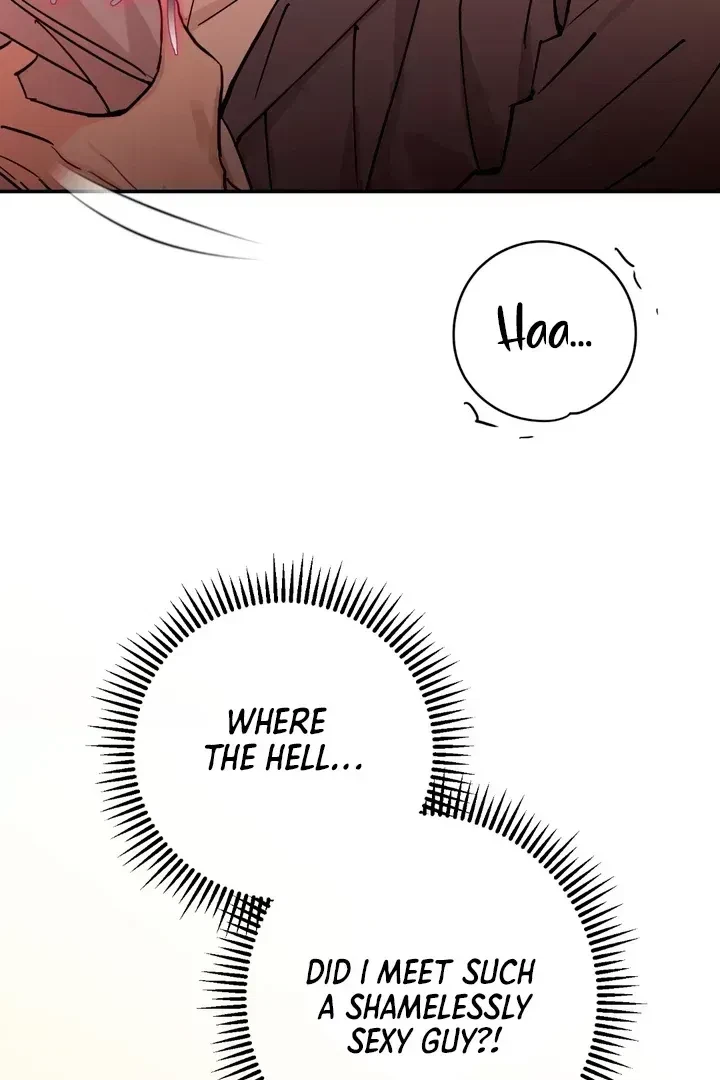 Chapter 2.6, page 106