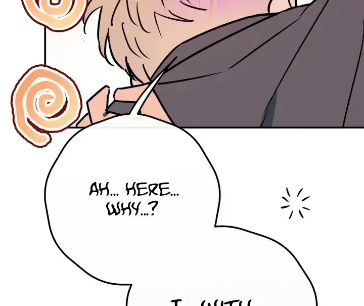 Chapter 2.6, page 13