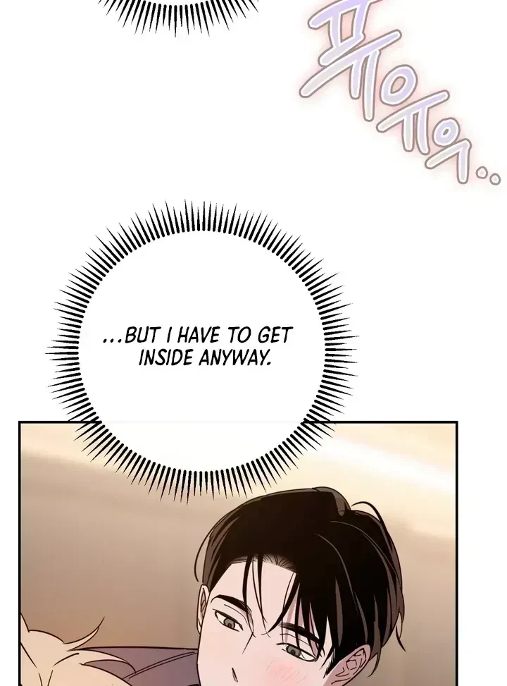 Chapter 2.6, page 41
