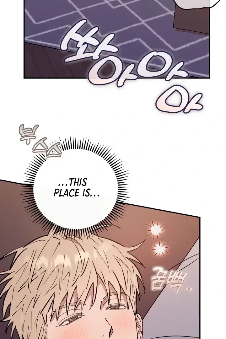 Chapter 2.6, page 61