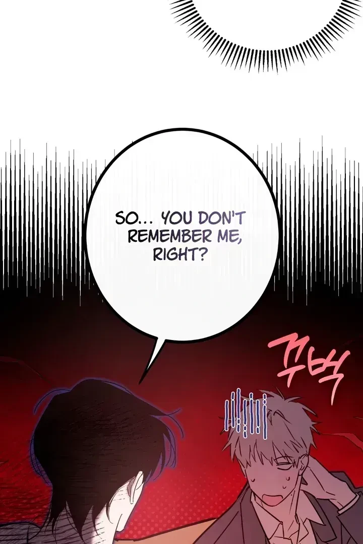 Chapter 2.6, page 80