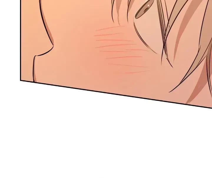 Chapter 2.6, page 97