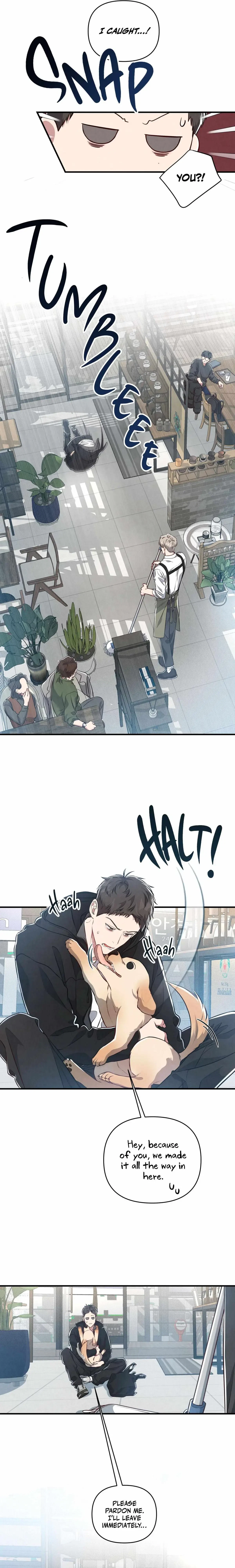 Chapter 4, page 10