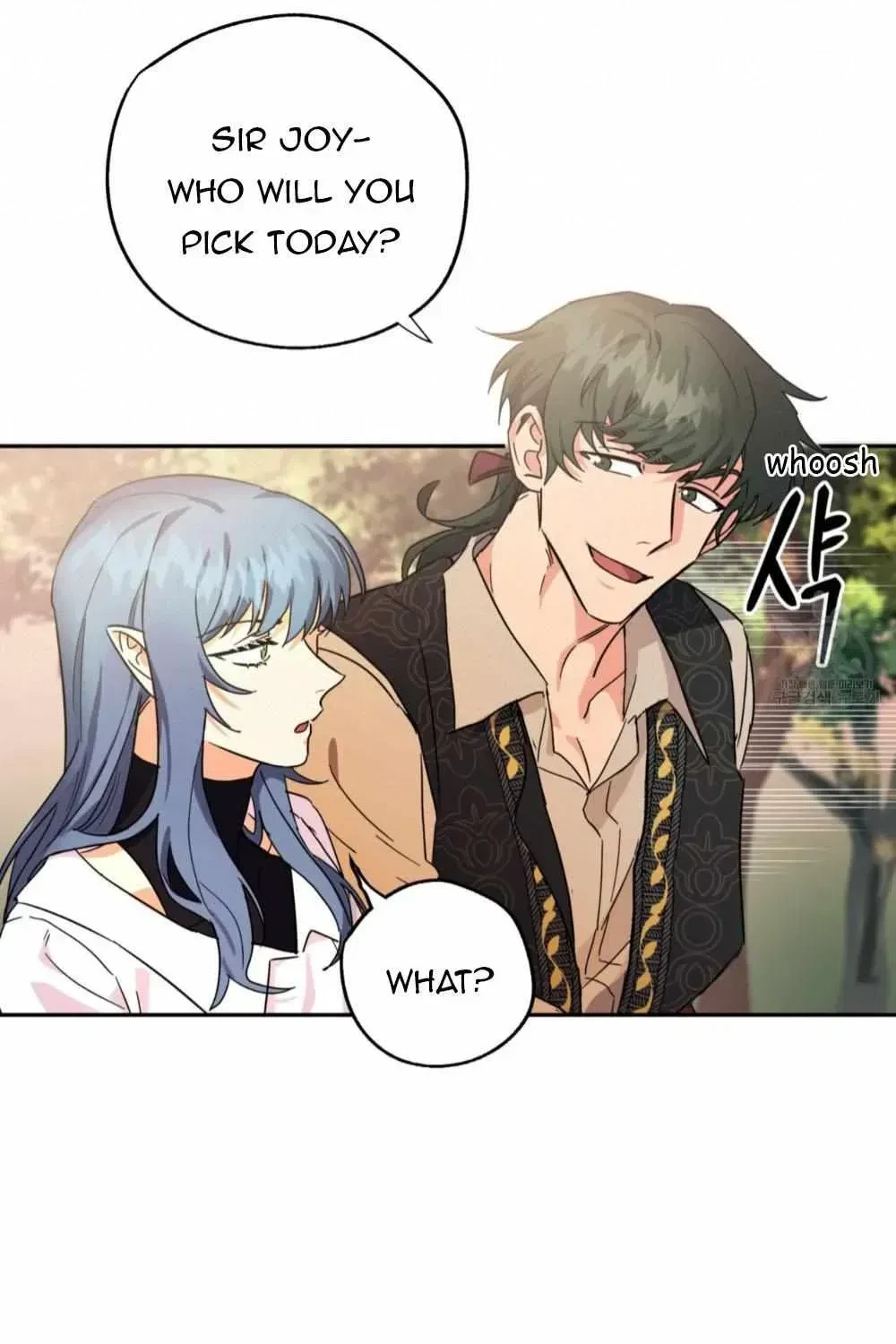 Chapter 1.1, page 17