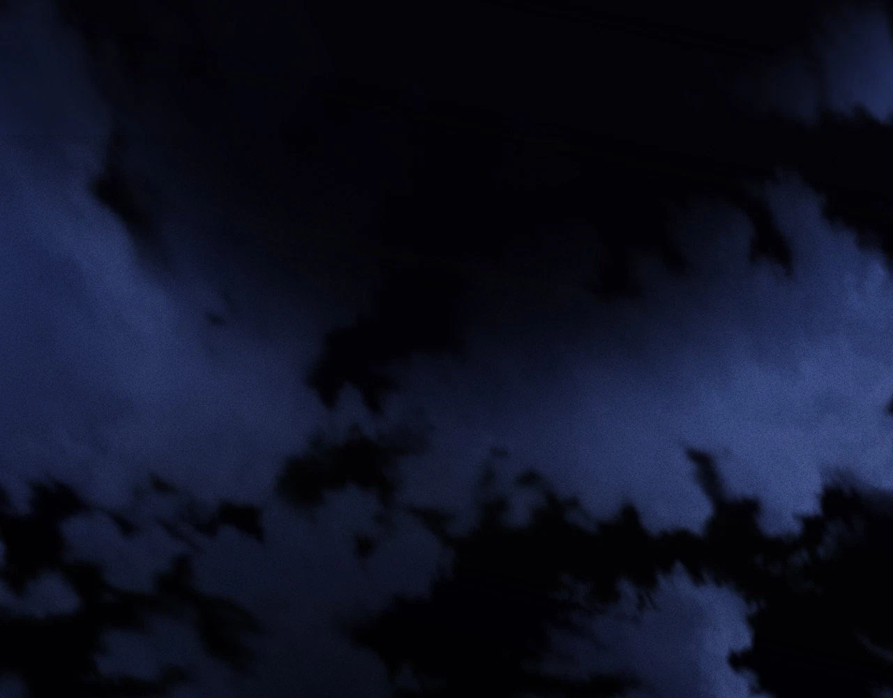 Chapter 29, page 36