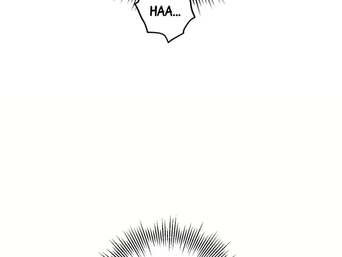 Chapter 6.2, page 101