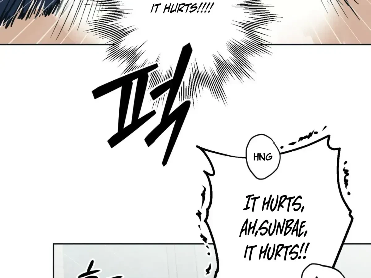Chapter 6.2, page 31
