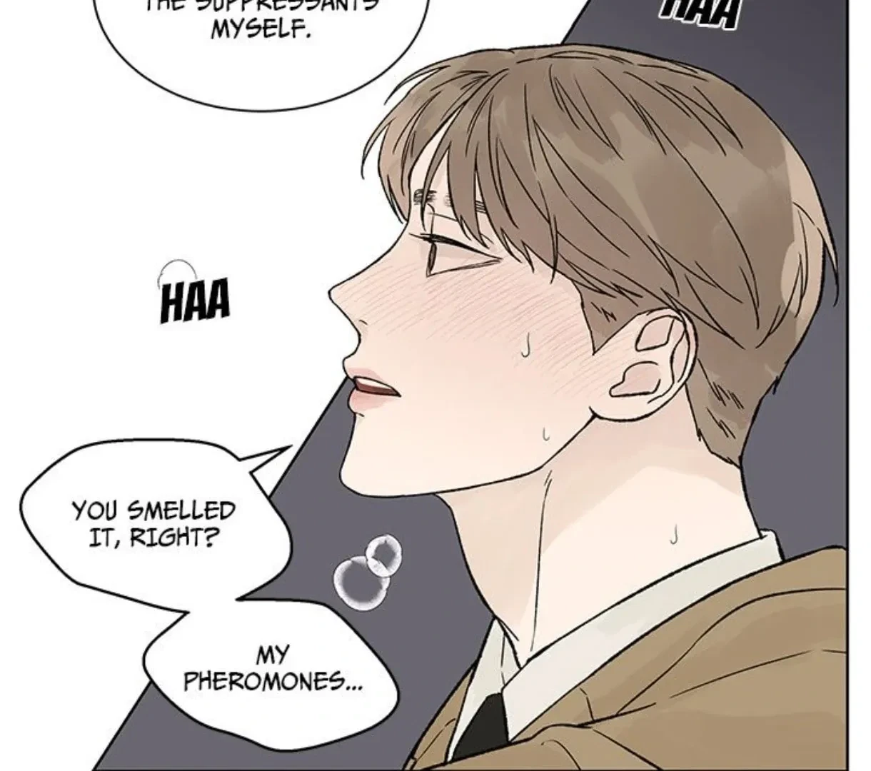 Chapter 2.1, page 60