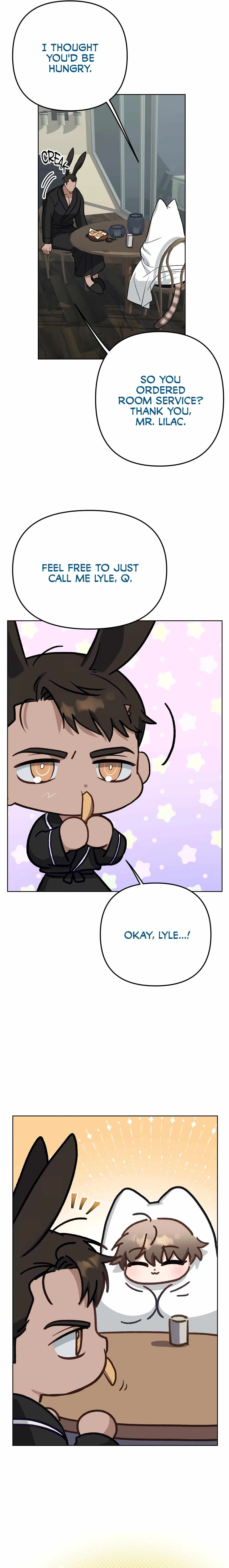 Chapter 3, page 17