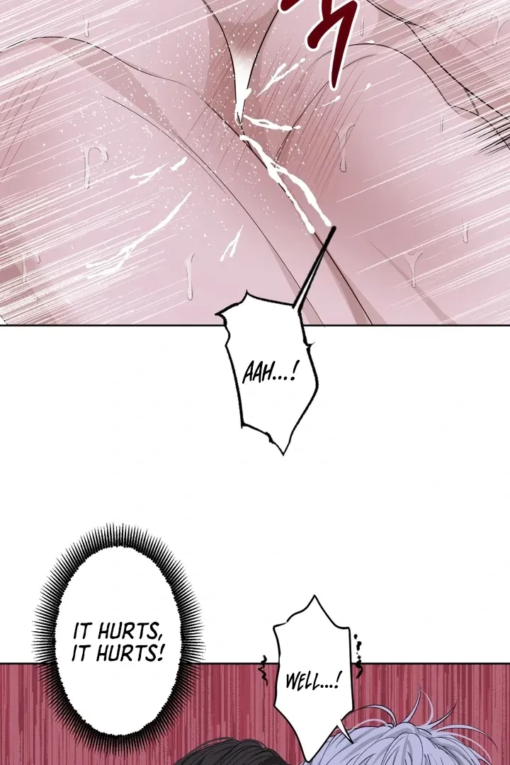 Chapter 2, page 63