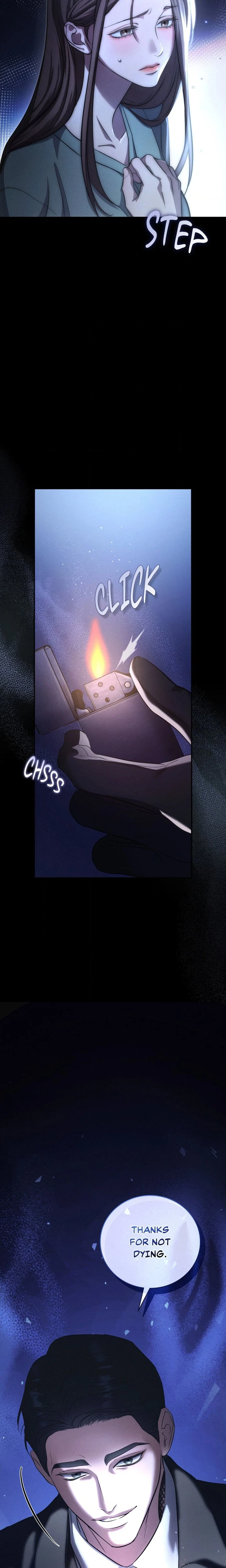 Chapter 1, page 13