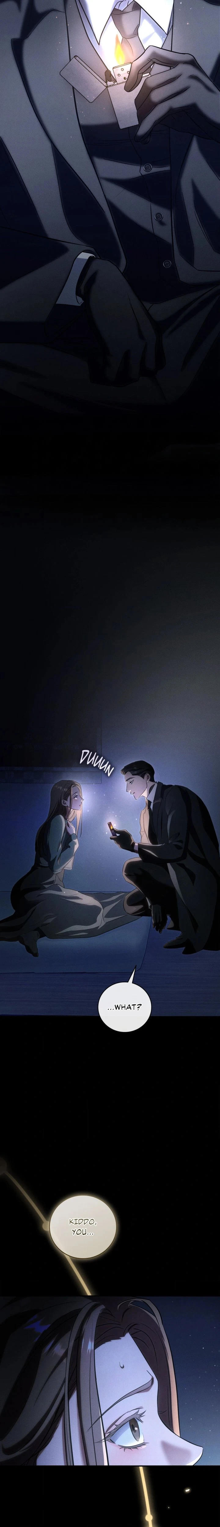 Chapter 1, page 14