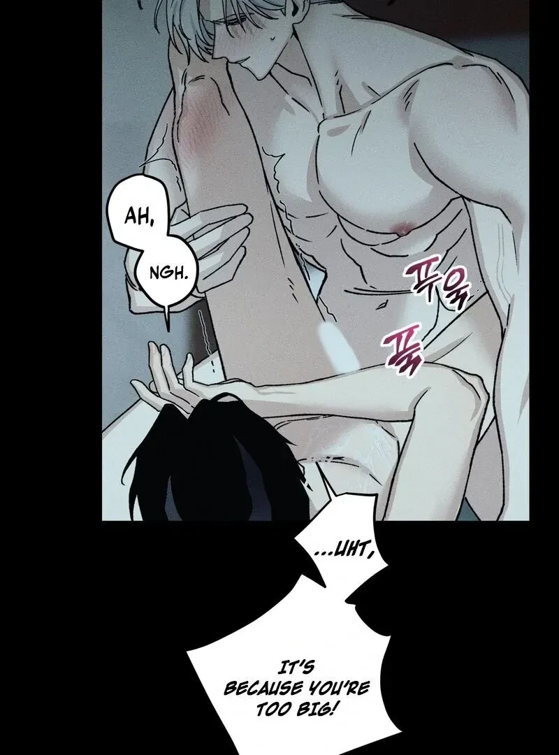 Chapter 1, page 21