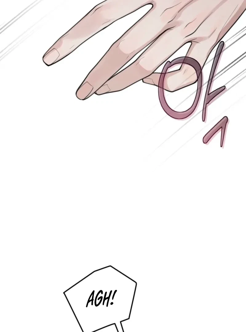 Chapter 3, page 113