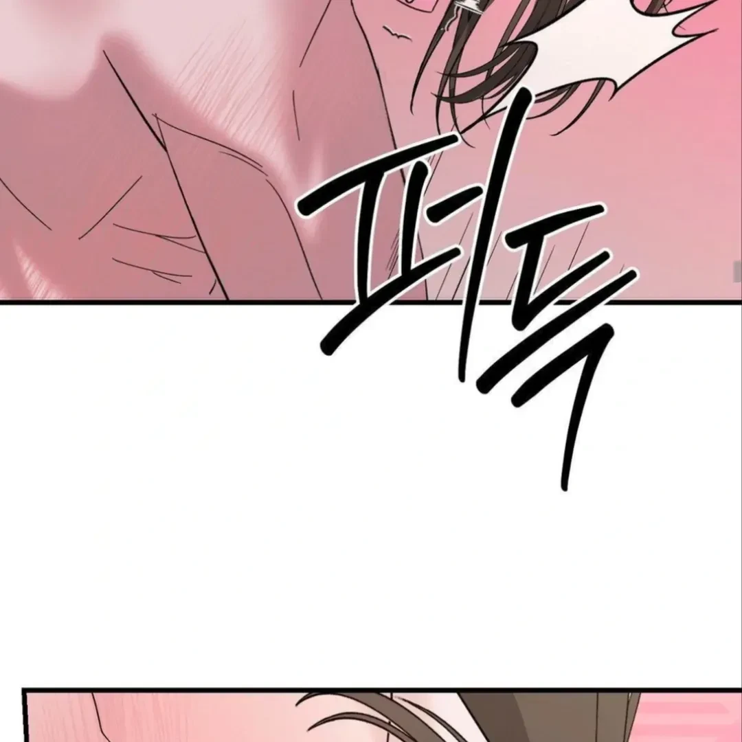 Chapter 4, page 97