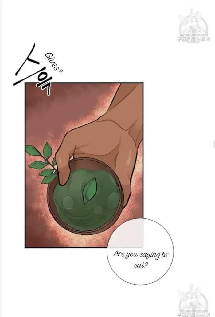 Chapter 4.1, page 24